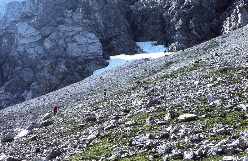 boden (55).JPG - EPSON MFP image